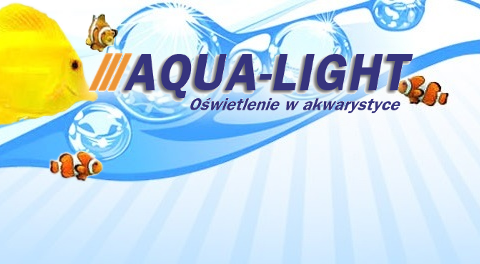 Aqua-Light – blog